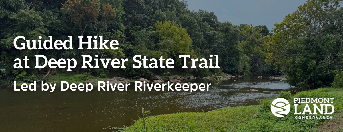 Guided Hike with Deep River Riverkeeper